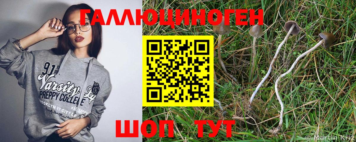 Галлюциногенные грибы Psilocybine cubensis  Вход с VPN  Бузулук 